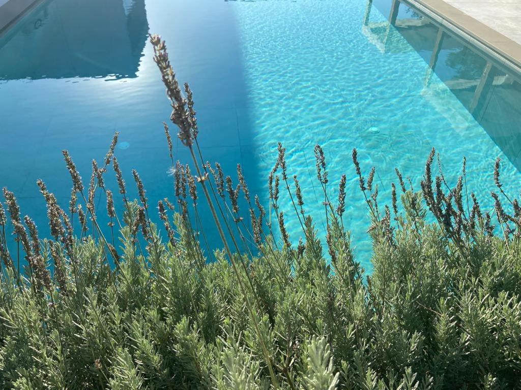 Rosemarine Villas Дуррес Экстерьер фото